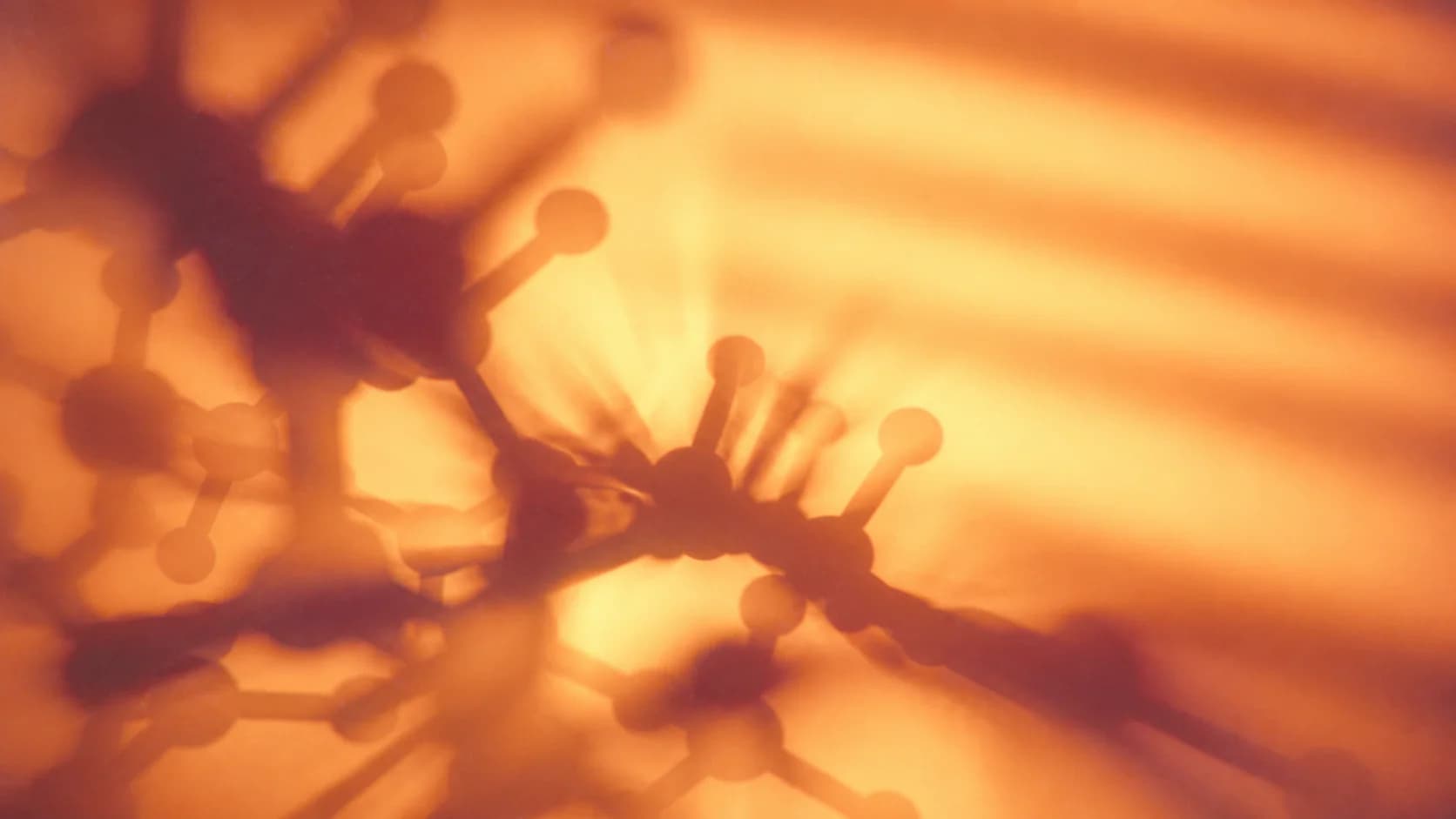 Best Peptides for Inflammation